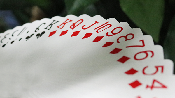 Bicycle Karnival Assassin (Green) Playing Cards