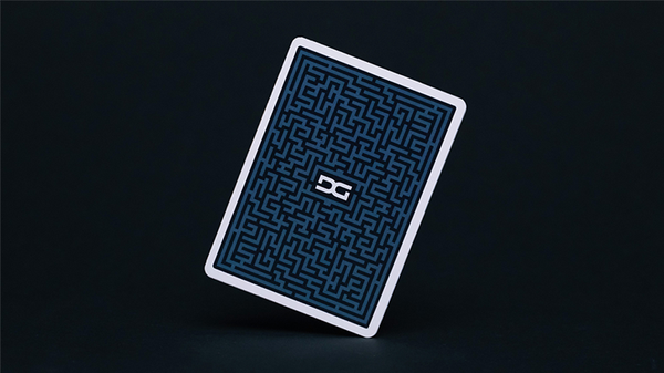 DG Maze Marked