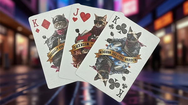 Biker Dogs Playing Cards