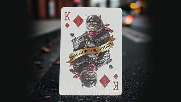 Biker Cats Playing Cards