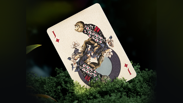 Moooi Collector's Edition Playing Cards Decks