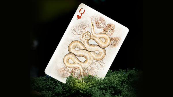 Moooi Collector's Edition Playing Cards Decks