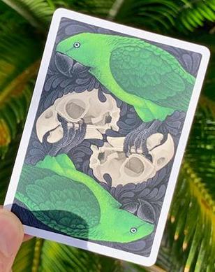 Bicycle Extinct Parrot Playing Cards | Numbered Seal Edition