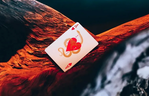 SVNGALI : Forbidden 001 Standard Playing Cards