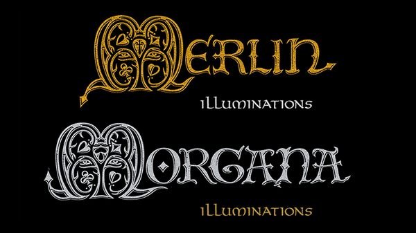 MERLIN or MORGANA Illuminations Decks // Art Playing Cards