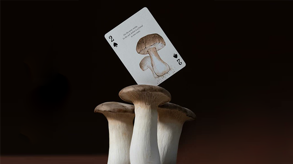 Eastern Forest Playing Cards Deck by Art of Play