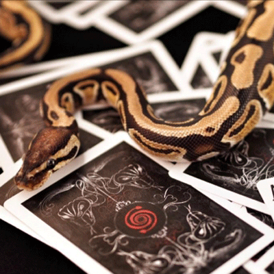Bicycle Venom Playing Cards Deck